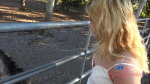 Dez Hansen Florida Part 4